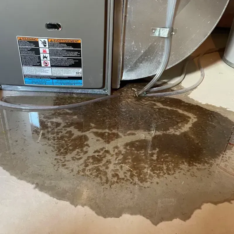 Appliance Leak Cleanup in Lansdowne, MD